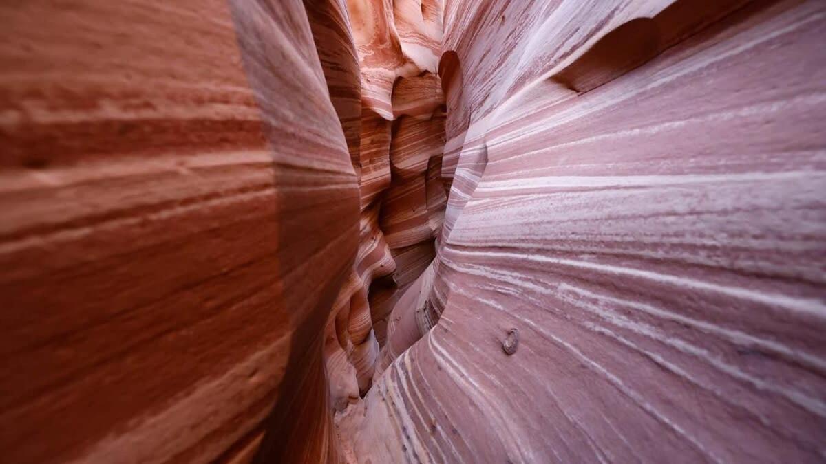 Escalante Escapes Tumble Weed- Bunk Escape Villa Exterior photo